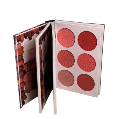 4 in 1 eyeshadow palette with free Brush Gift
